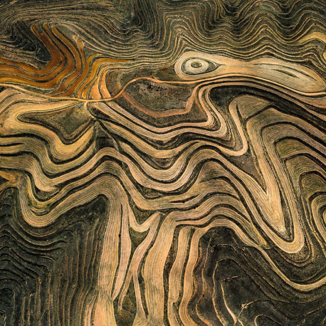 Dialoghi sull'Antropocene